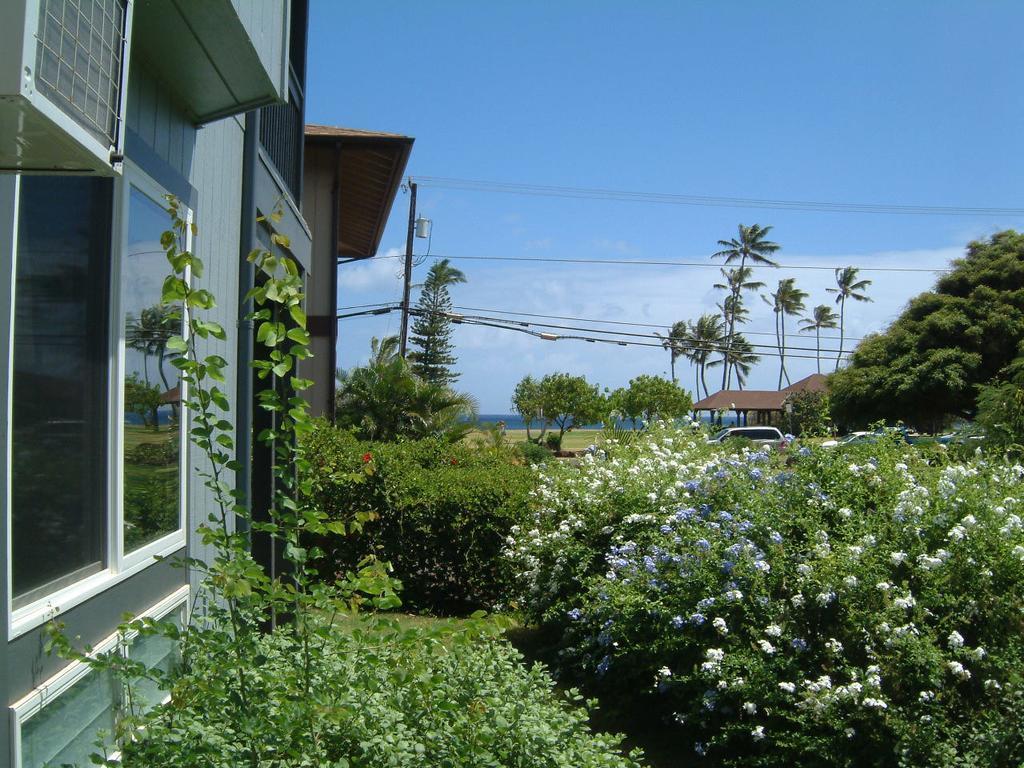 Hale Pua Villa - Seaside Studio Koloa Eksteriør bilde